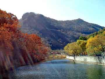 管家婆黑白马报图库，三轮车油电控制器